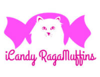 RagaMuffin cats
