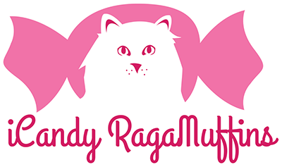 iCandy RagaMuffins